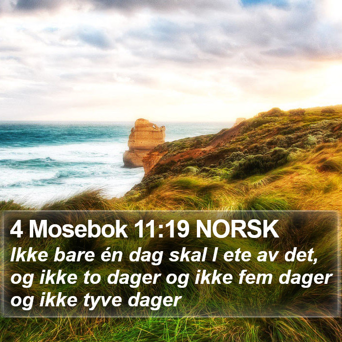 4 Mosebok 11:19 NORSK Bible Study