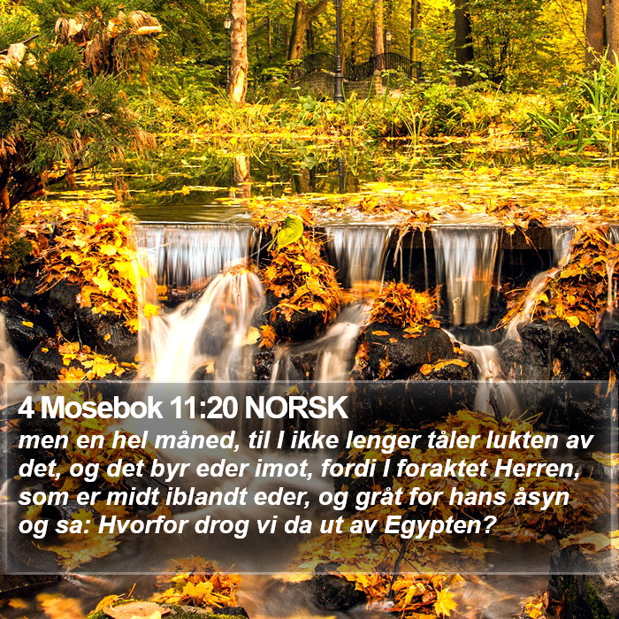 4 Mosebok 11:20 NORSK Bible Study