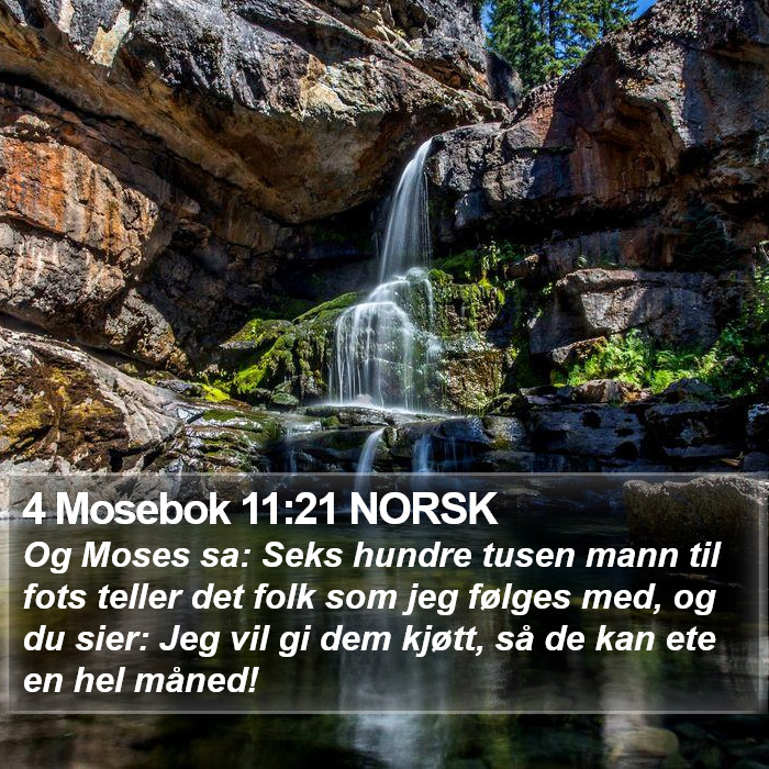 4 Mosebok 11:21 NORSK Bible Study