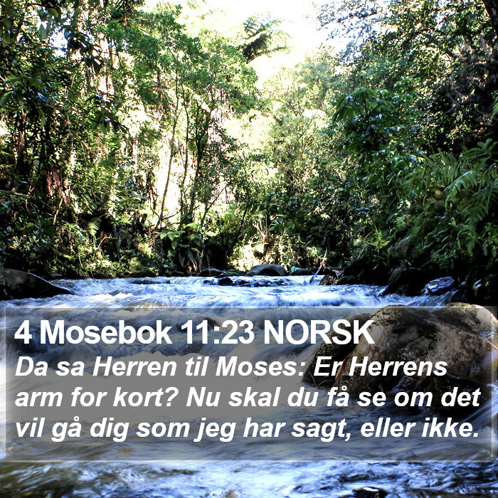 4 Mosebok 11:23 NORSK Bible Study