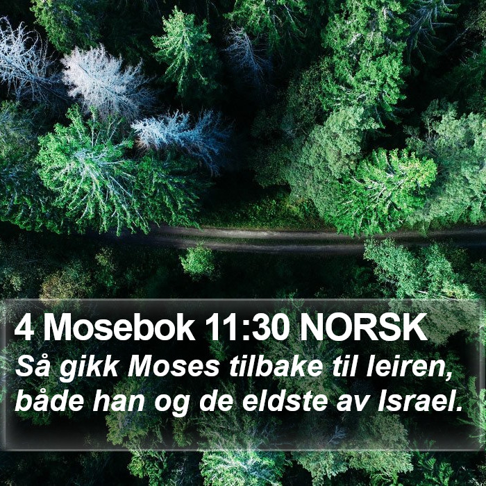 4 Mosebok 11:30 NORSK Bible Study