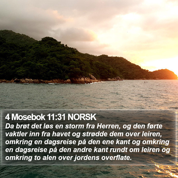 4 Mosebok 11:31 NORSK Bible Study