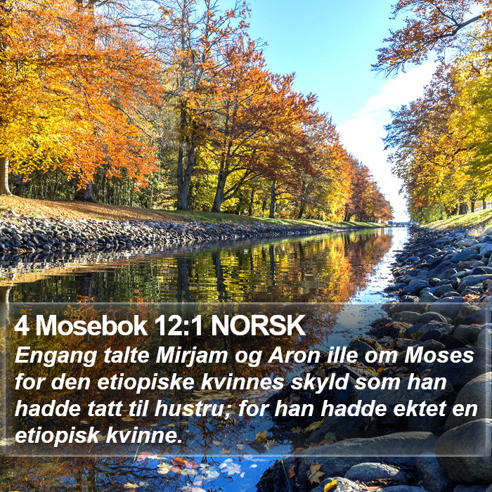 4 Mosebok 12:1 NORSK Bible Study