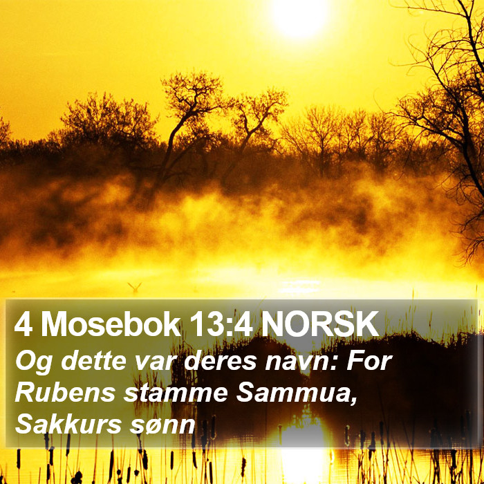 4 Mosebok 13:4 NORSK Bible Study