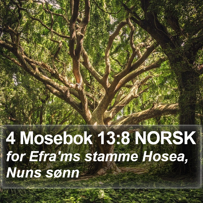 4 Mosebok 13:8 NORSK Bible Study