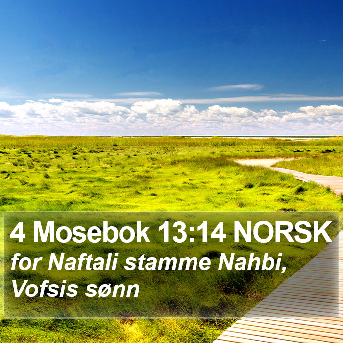 4 Mosebok 13:14 NORSK Bible Study