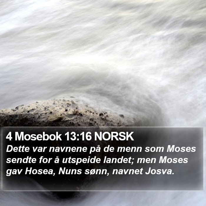 4 Mosebok 13:16 NORSK Bible Study