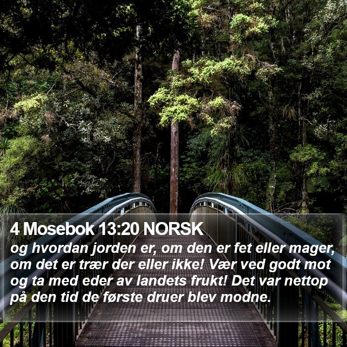 4 Mosebok 13:20 NORSK Bible Study