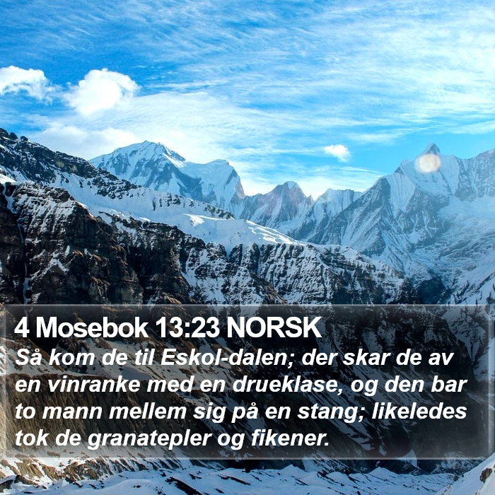 4 Mosebok 13:23 NORSK Bible Study