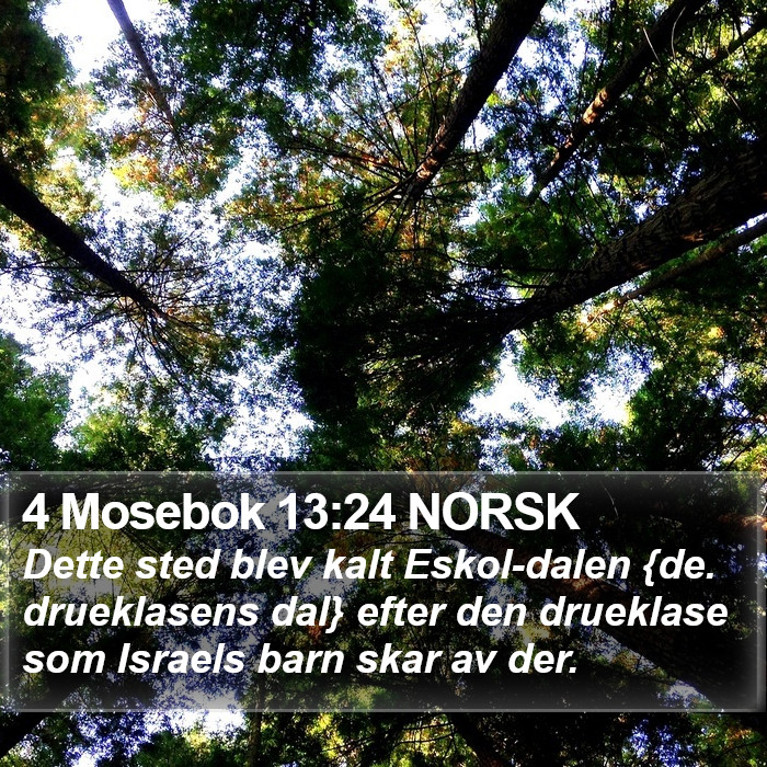 4 Mosebok 13:24 NORSK Bible Study