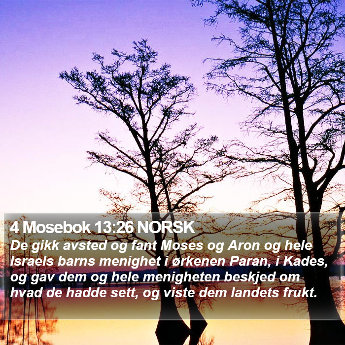 4 Mosebok 13:26 NORSK Bible Study