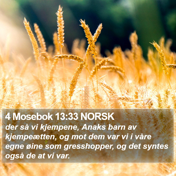 4 Mosebok 13:33 NORSK Bible Study