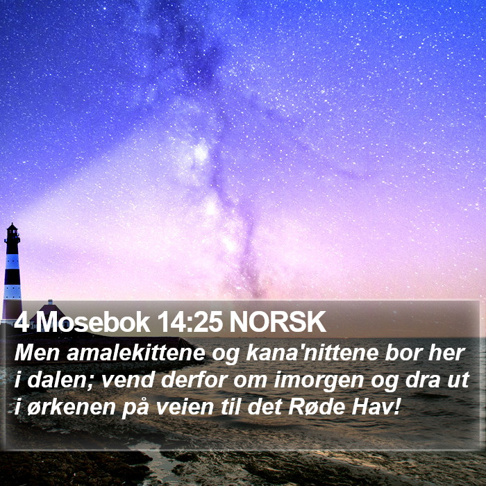 4 Mosebok 14:25 NORSK Bible Study