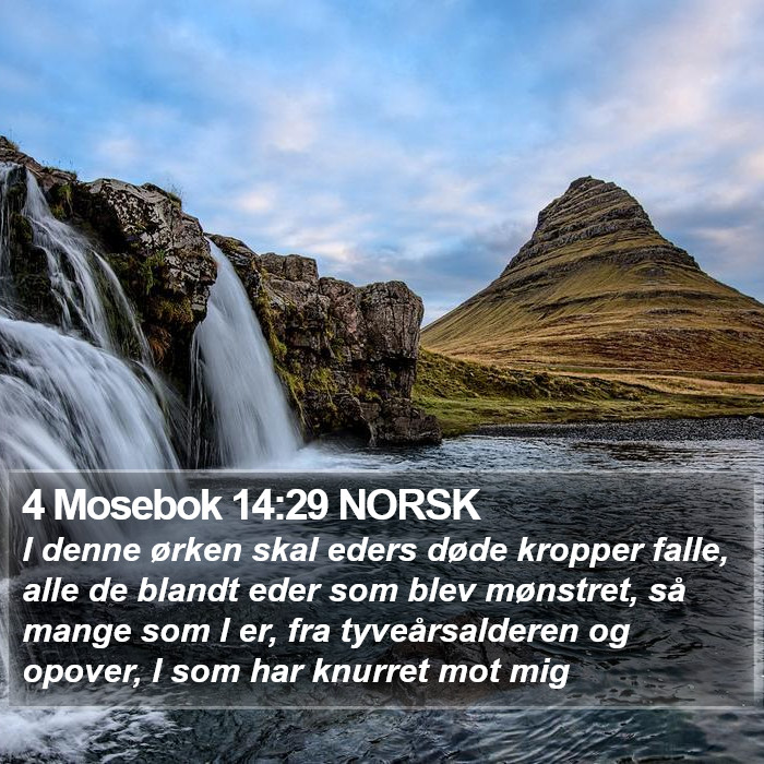 4 Mosebok 14:29 NORSK Bible Study