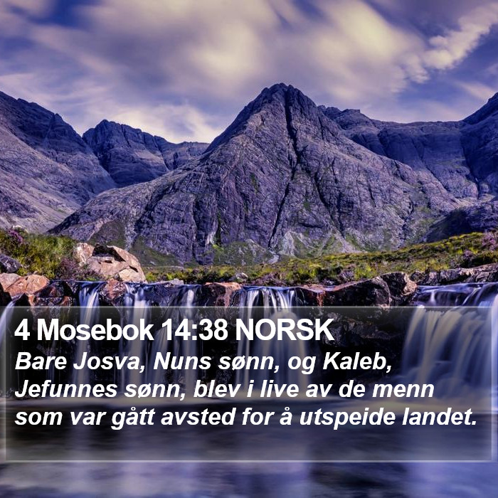 4 Mosebok 14:38 NORSK Bible Study