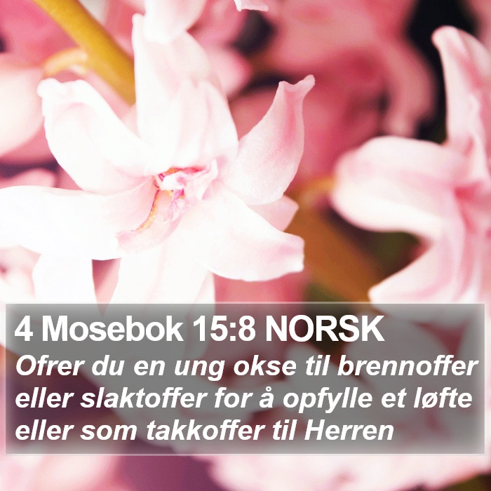 4 Mosebok 15:8 NORSK Bible Study