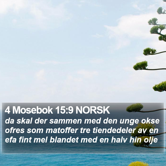 4 Mosebok 15:9 NORSK Bible Study