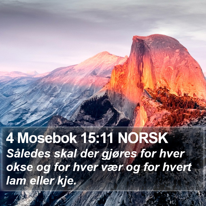 4 Mosebok 15:11 NORSK Bible Study