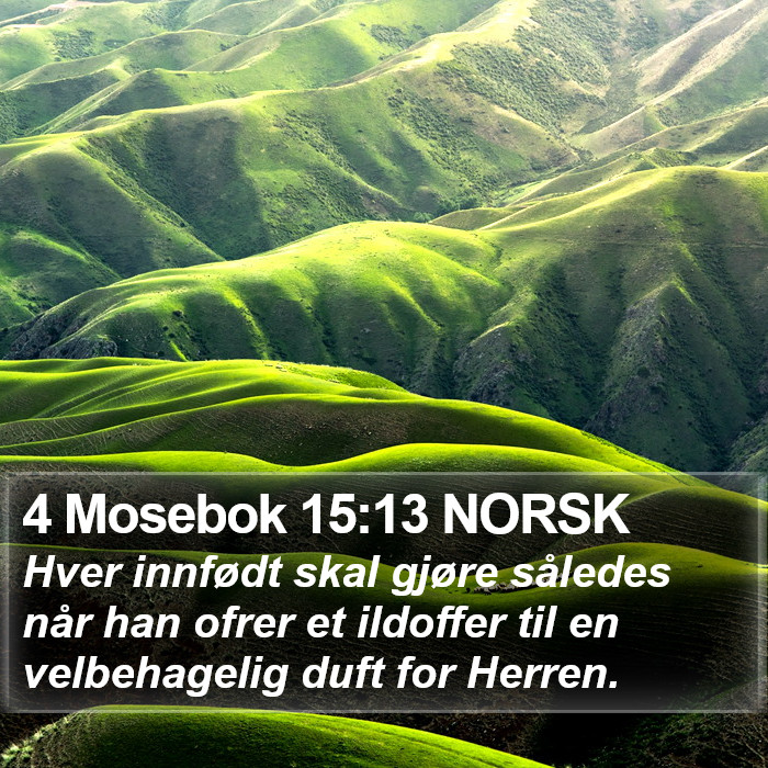 4 Mosebok 15:13 NORSK Bible Study