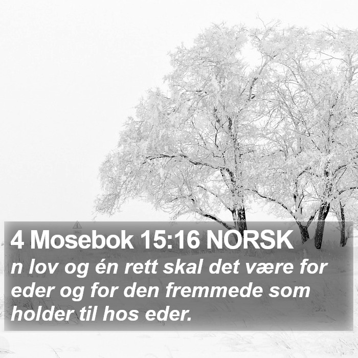 4 Mosebok 15:16 NORSK Bible Study