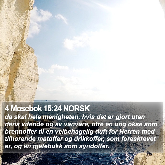 4 Mosebok 15:24 NORSK Bible Study