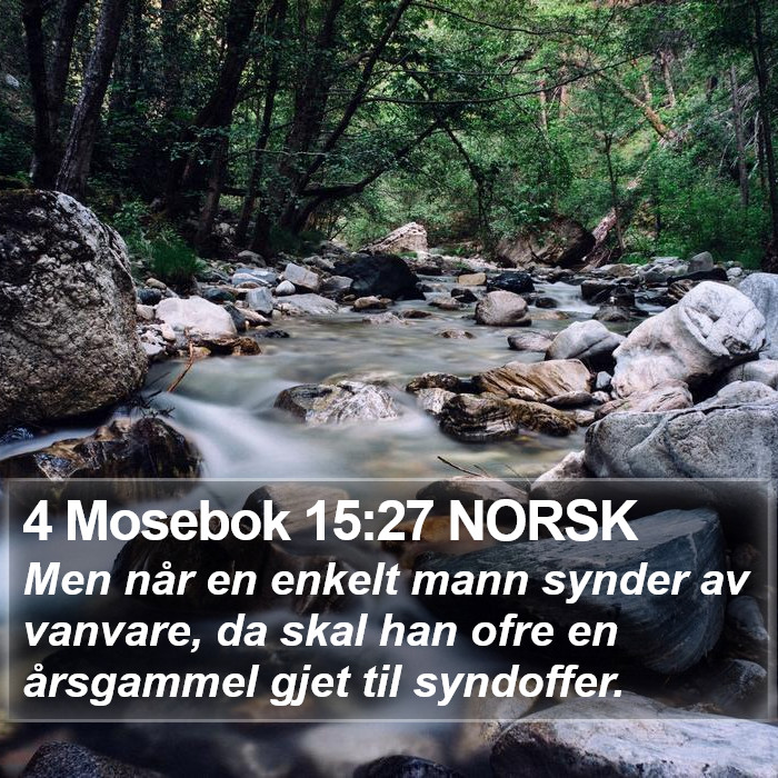 4 Mosebok 15:27 NORSK Bible Study