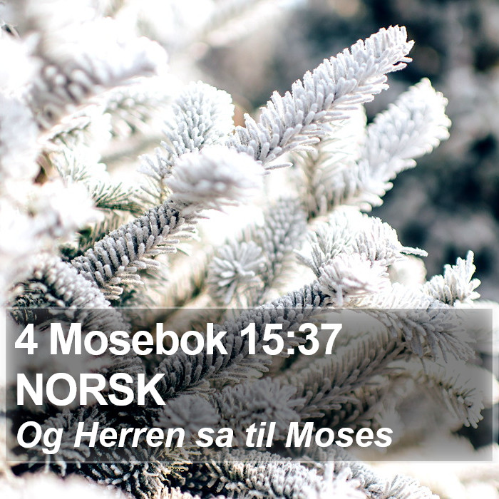 4 Mosebok 15:37 NORSK Bible Study