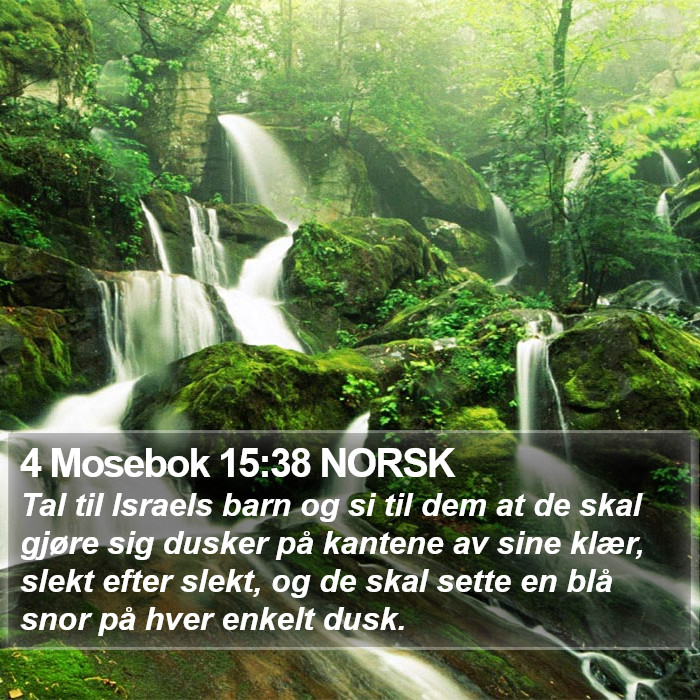 4 Mosebok 15:38 NORSK Bible Study