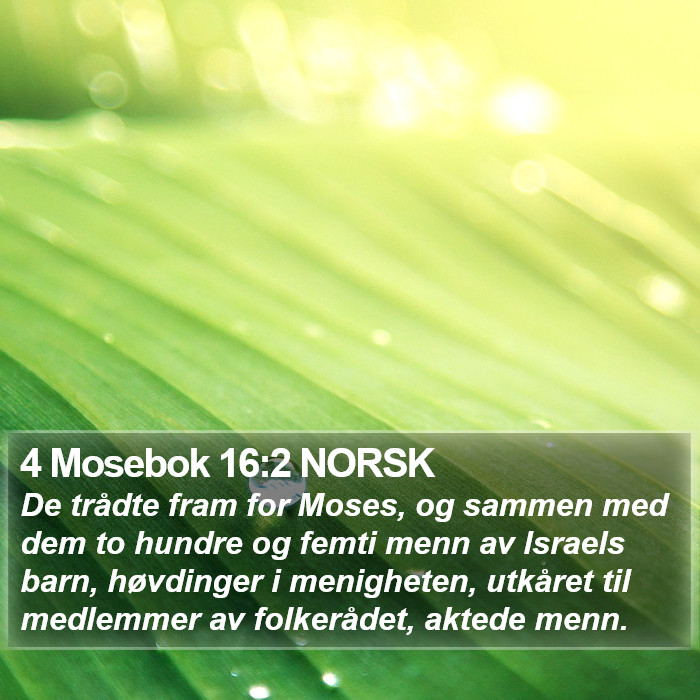 4 Mosebok 16:2 NORSK Bible Study