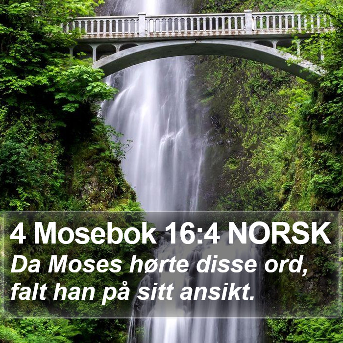 4 Mosebok 16:4 NORSK Bible Study