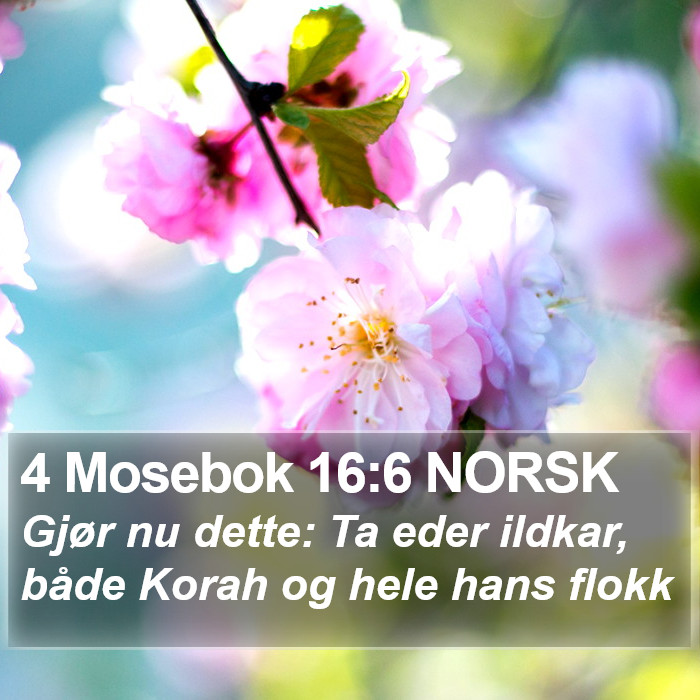 4 Mosebok 16:6 NORSK Bible Study