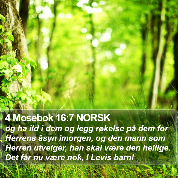 4 Mosebok 16:7 NORSK Bible Study