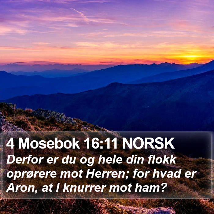 4 Mosebok 16:11 NORSK Bible Study