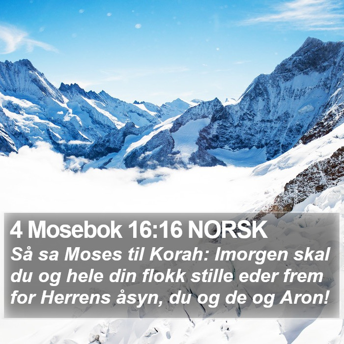 4 Mosebok 16:16 NORSK Bible Study