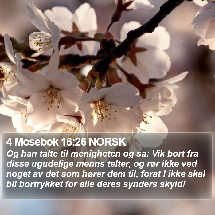 4 Mosebok 16:26 NORSK Bible Study