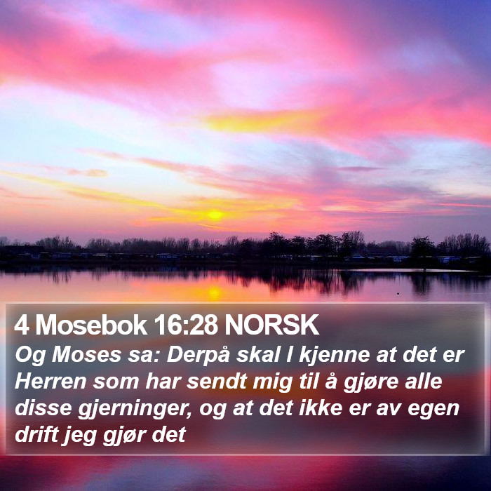 4 Mosebok 16:28 NORSK Bible Study