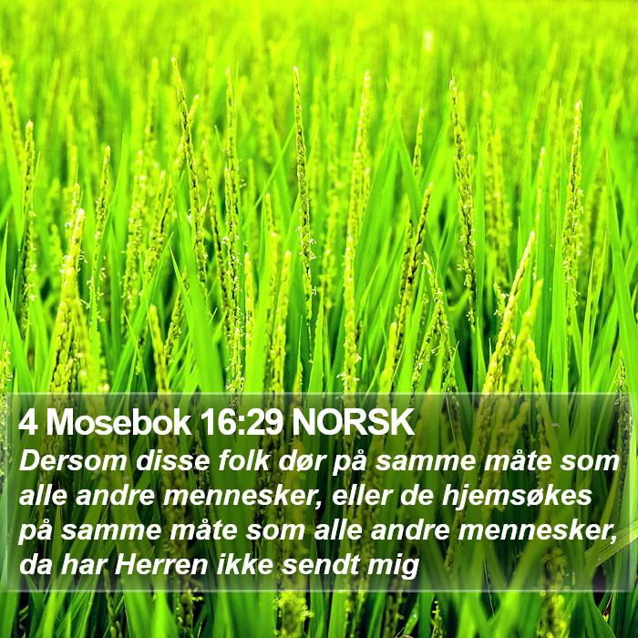 4 Mosebok 16:29 NORSK Bible Study