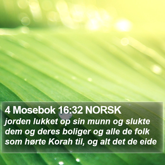 4 Mosebok 16:32 NORSK Bible Study