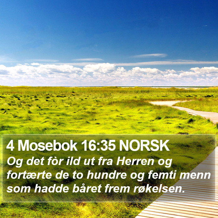 4 Mosebok 16:35 NORSK Bible Study