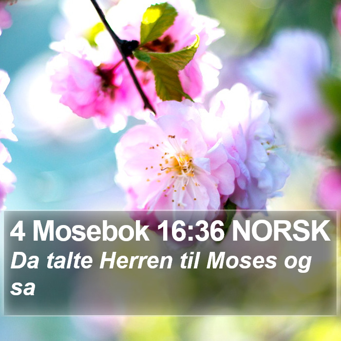 4 Mosebok 16:36 NORSK Bible Study