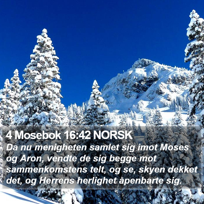 4 Mosebok 16:42 NORSK Bible Study