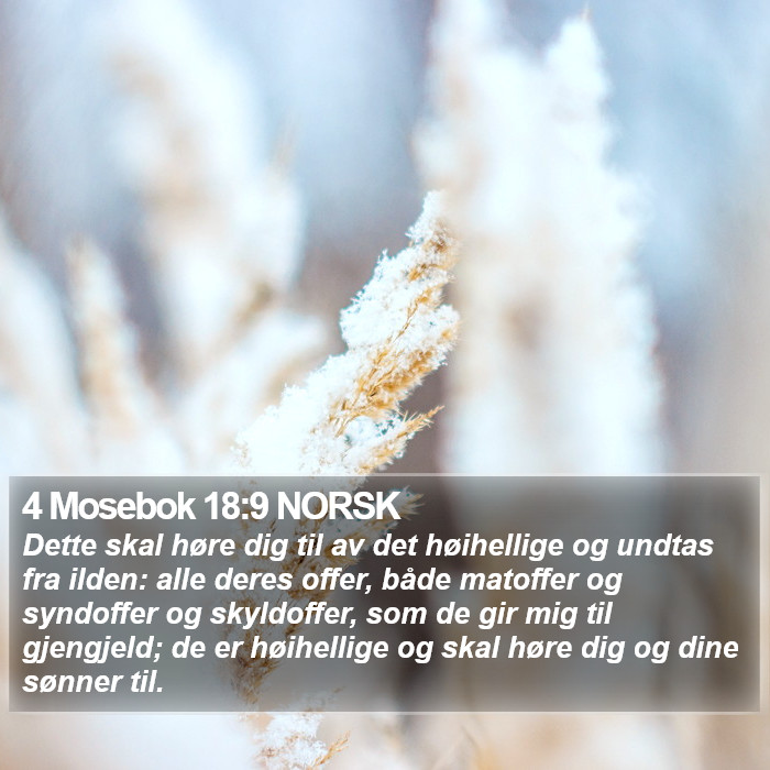 4 Mosebok 18:9 NORSK Bible Study