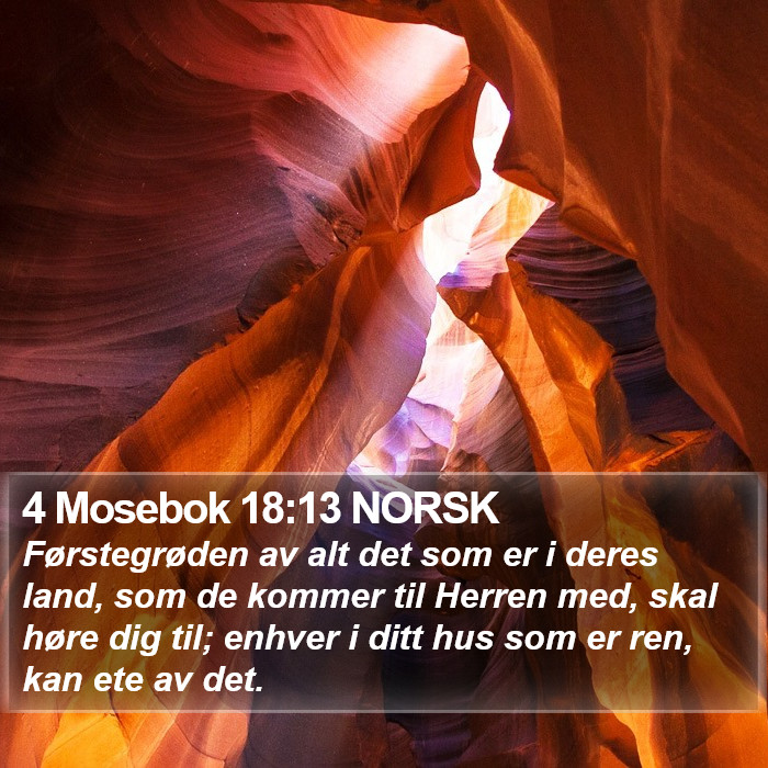 4 Mosebok 18:13 NORSK Bible Study