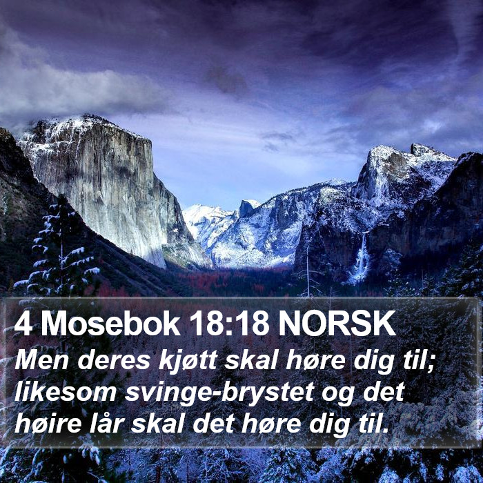 4 Mosebok 18:18 NORSK Bible Study