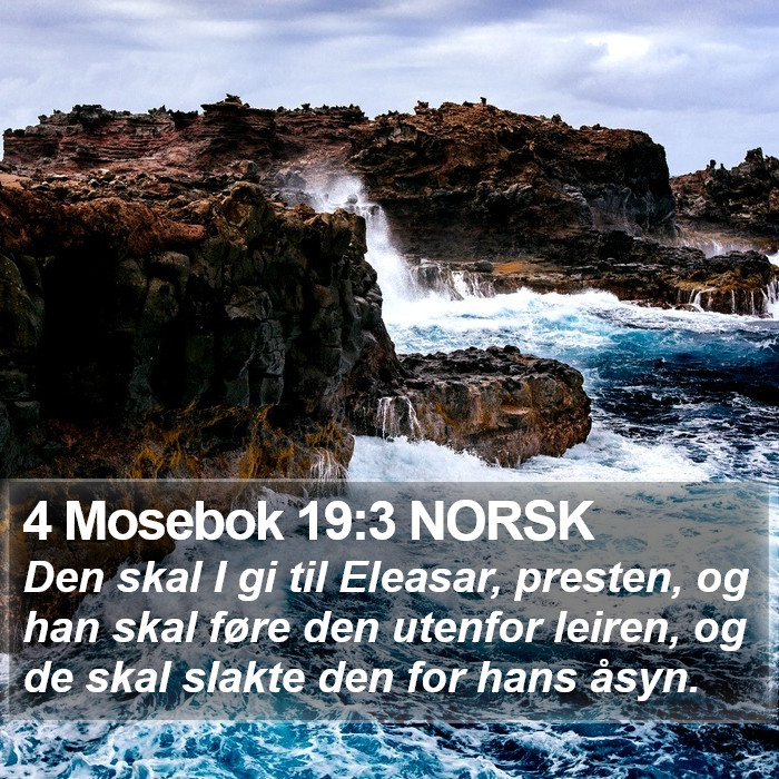 4 Mosebok 19:3 NORSK Bible Study