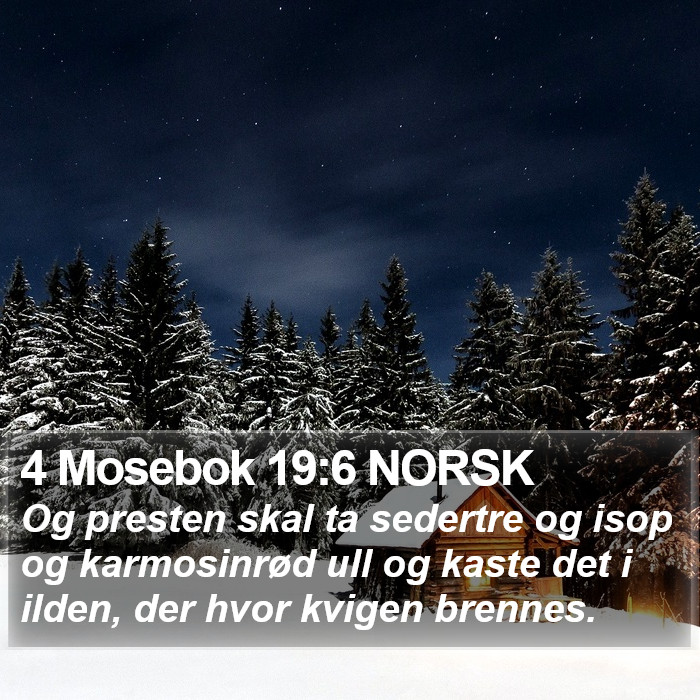 4 Mosebok 19:6 NORSK Bible Study