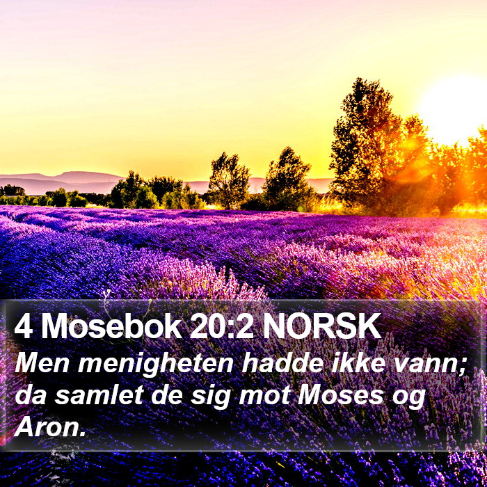 4 Mosebok 20:2 NORSK Bible Study