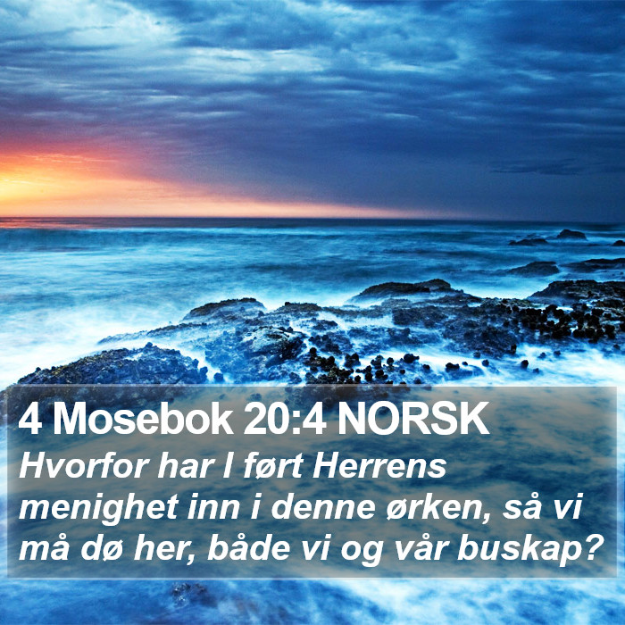 4 Mosebok 20:4 NORSK Bible Study