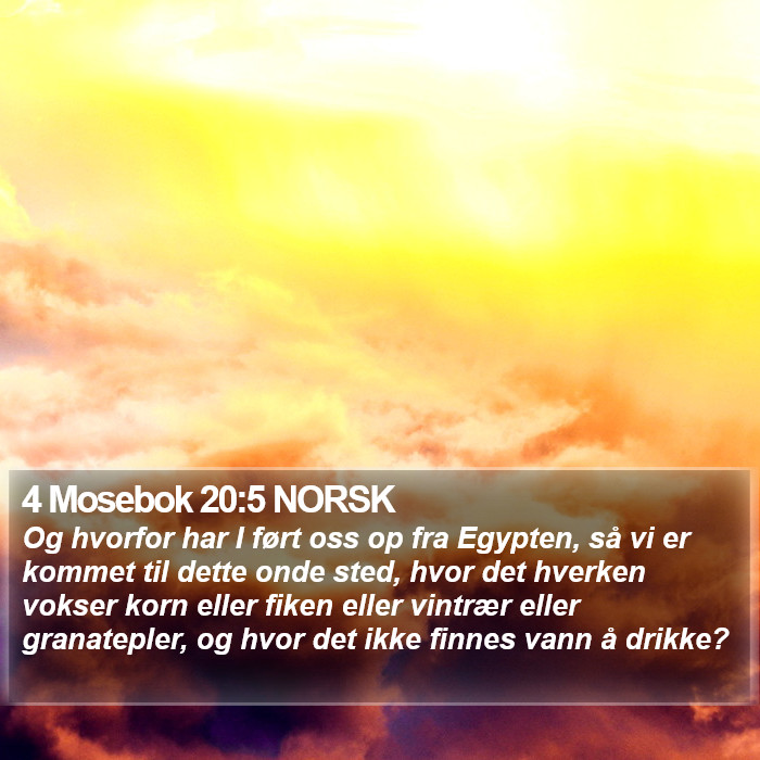 4 Mosebok 20:5 NORSK Bible Study