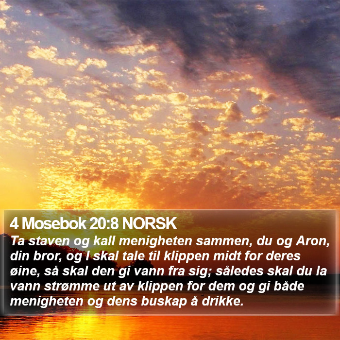 4 Mosebok 20:8 NORSK Bible Study